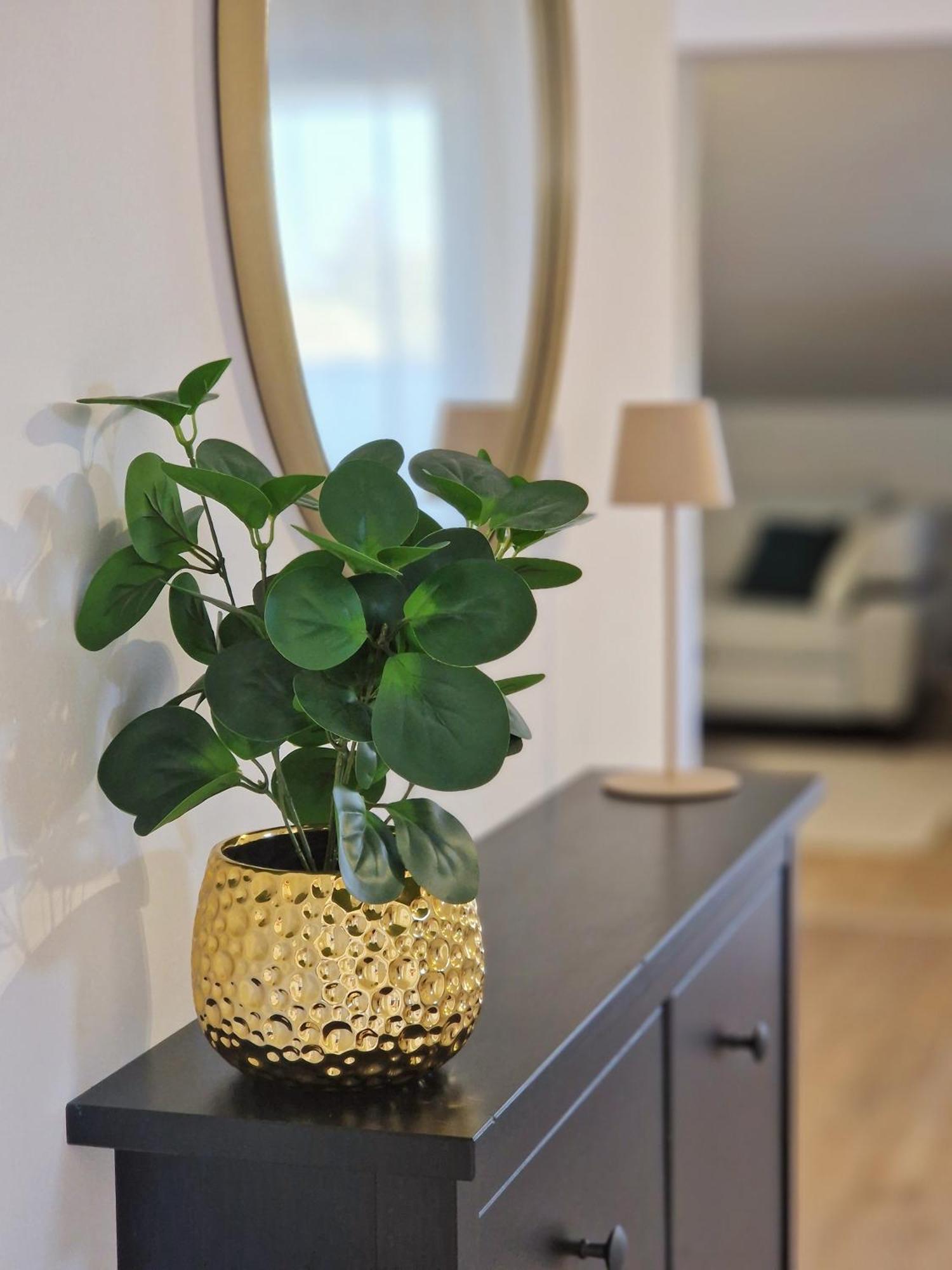 Apartments Jasna 로비니 외부 사진